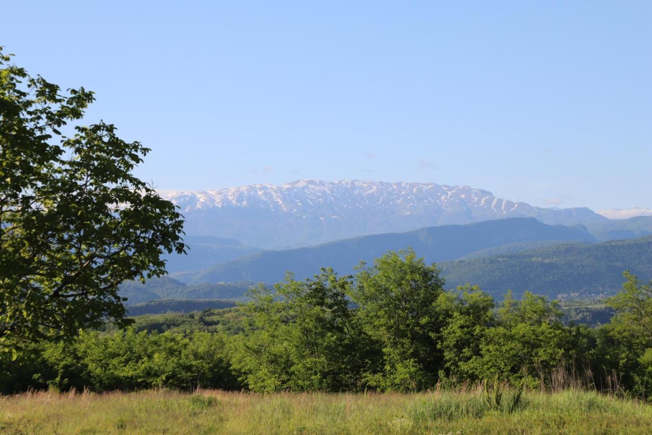 Tskaltubo Village - Nature Resort Kültér fotó